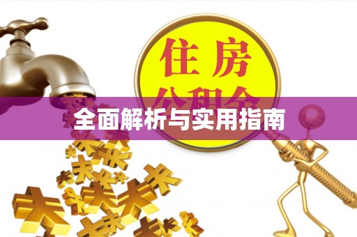 新会全面解析与实用指南